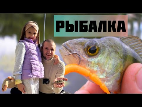 Видео: Рыбалка в Кишиневе | Рышкановский парк | Молдова 🇲🇩 