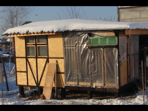 Видео: Подготовка помещения для разведение попугаев.