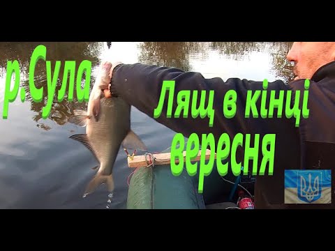 Видео: #Сула #Знову СУПЕРклєв ляща #РибачуЯкУмію