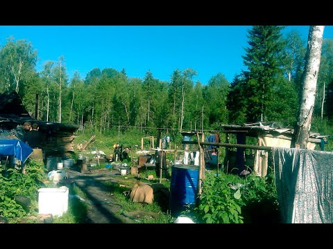 Видео: Сезон  2015 № 8/11 ( Узкоколейка, тайга, град)