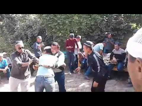 Видео: Халмион полвони