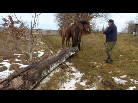 Видео: Хмара перший раз пробує трелювання.