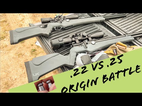 Видео: НОВЫЙ .25 Umarex Origin: победитель ли он? | .22 против .25 Umarex Origin: сравнение
