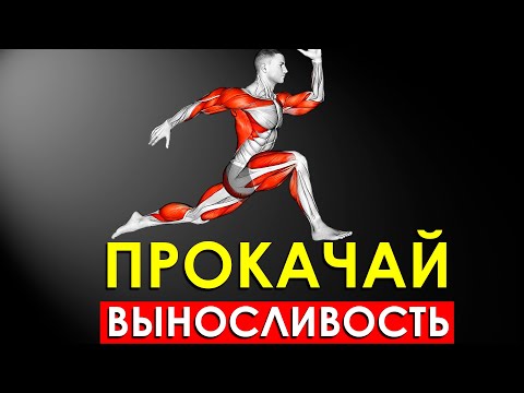 Видео: Как Быстро Увеличить Выносливость Организма (Научно Обоснованно)