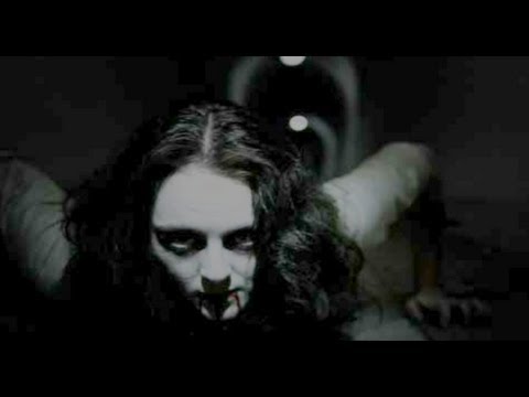 Видео: СИМУЛЯТОР МОХНАТКИ о(◕ᴥ◕)o - Cellar Door