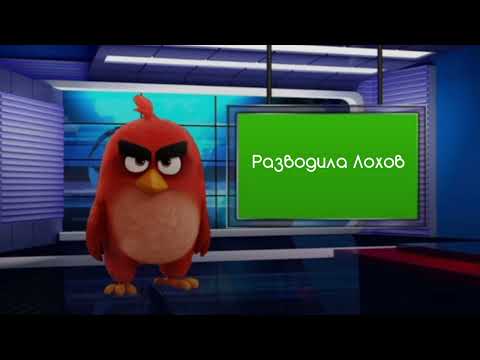 Видео: Оценка Каналов #24