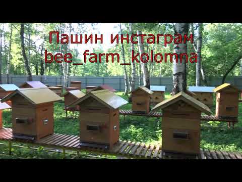 Видео: В гостях у Паши и Наташи