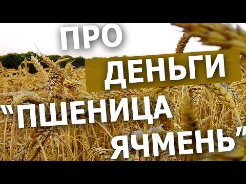 Видео: Сколько зарабатывают Фермеры. Наглядный пример / Скоро буду МИЛЛИОНЕРОМ!