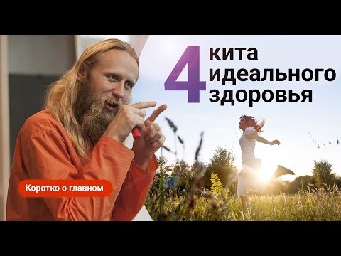 Видео: 4 кита здоровья для тела, психики и души | Коротко о главном