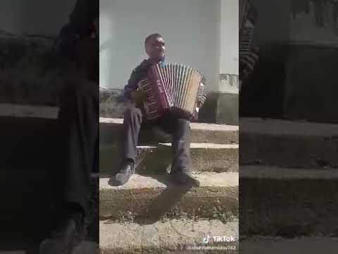 Видео: Булбули Оби-гарм. соли 1999.