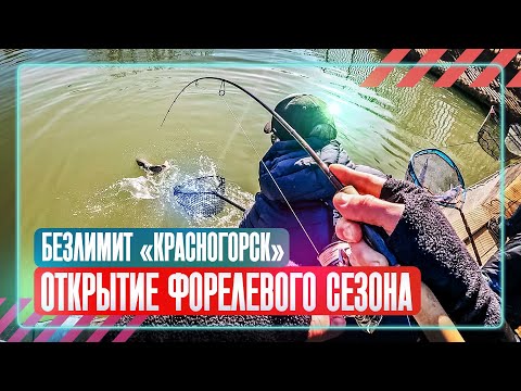 Видео: Ловля форели на спиннинг. Безлимит «Красногорск». # OnlySpin
