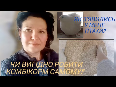 Видео: Комбікорм. Купляти чи робити самому?
