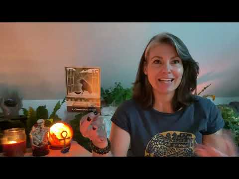 Видео: DF/DM: Вы внезапно поссорились, но это было недоразумение! Вы всё уладите.