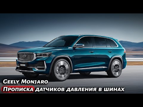 Видео: Geely Monjaro / Прописка датчиков давления в шинах