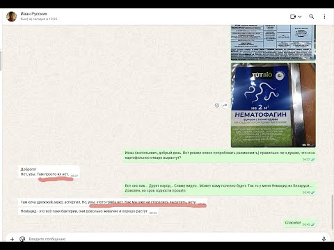 Видео: Не размножить! 100%