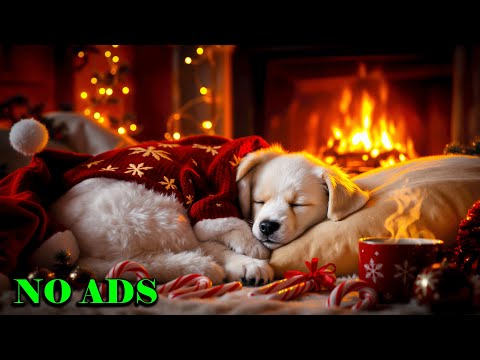 Видео: 12 часов успокаивающей музыки для собак🐶Музыка для собак, испытывающих стресс💖🎵Музыка для собак,