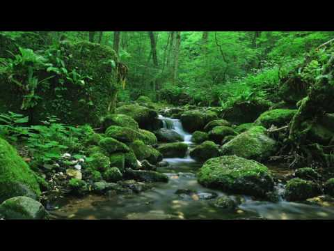 Видео: 3 ЧАСА РЕЛАКСА