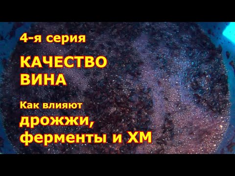 Видео: 4 я серия. КАЧЕСТВО ВИНА. Как влияют дрожжи, ферменты и ХМ