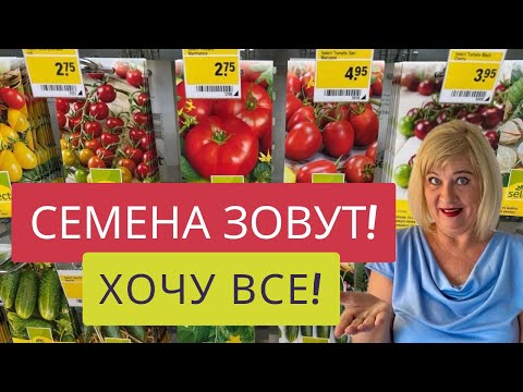 Видео: НЕ УДЕРЖАЛАСЬ!!!🤷‍♀️МЧУСЬ ЗА СЕМЕНАМИ!🏃‍♀️❤️❤️❤️КАКИЕ СЕМЕНА ЕСТЬ В САДОВОМ МАГАЗИНЕ ШВЕЙЦАРИИ🍅🥒🌶️🥕