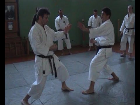 Видео: Правильная КАМАЕ в традиционном карате | Внешняя форма и внутренняя динамика