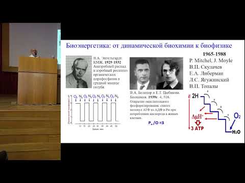 Видео: Маевский Е. И. Раскрытие связи энергетики и информации в адаптации организма к гипоксии