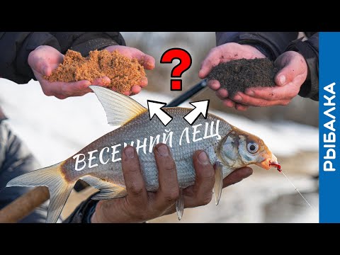 Видео: Какой ЦВЕТ выберет ЛЕЩ весной? Эксперимент по прикормке!