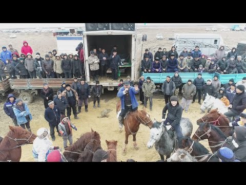 Видео: Әуезовтар әулетті Қарсыбайұлы Берыкбай мырзаның бата алу көкпар тойы 24 02 2024