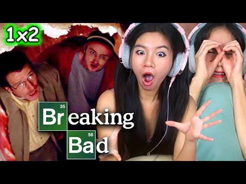 Видео: Реакция иностранок | Во все тяжкие, 1 сезон, 2 серия «Кот в мешке...» | Первый просмотр