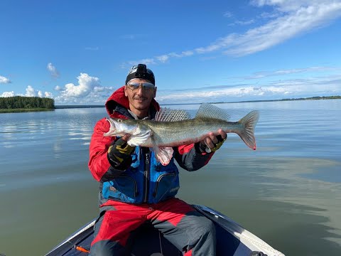Видео: Отличная рыбалка Красный ЯР Обское водохранилище 2020  Судак, Окунь и Щука...