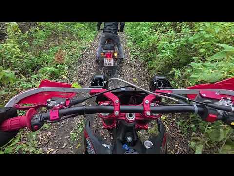 Видео: минск как эндуро прохват по лесам