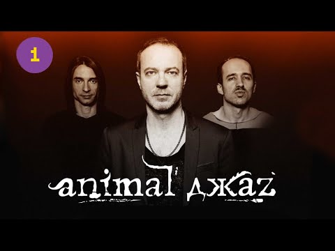 Видео: «Animal ДжаZ» в Израиле. Кто разрешил ???