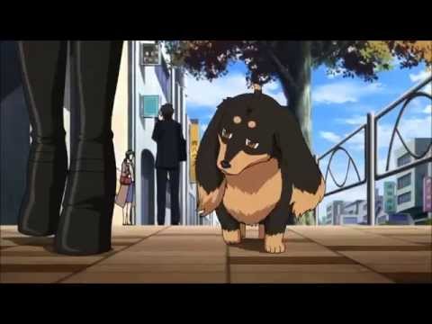 Видео: Аниме клип- Мой любимый пёс