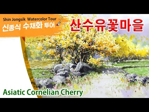 Видео: 신종식수채화투어[산수유꽃마을]watercolor painting TV foundation 水彩画, 水彩畫, Aquarelle, акварельный, a flower plant