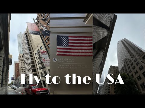 Видео: ПОЛЕТ В АМЕРИКУ | КАЛИФОРНИЯ #america #usa #travel #california #dreamtraveler #trending #viral
