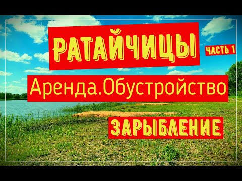 Видео: Ратайчицы .Аренда.Обустройство. Зарыбление пруда часть 1