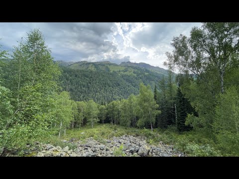 Видео: Лучше чем Швейцария. В Катон-Карагай одним днём.