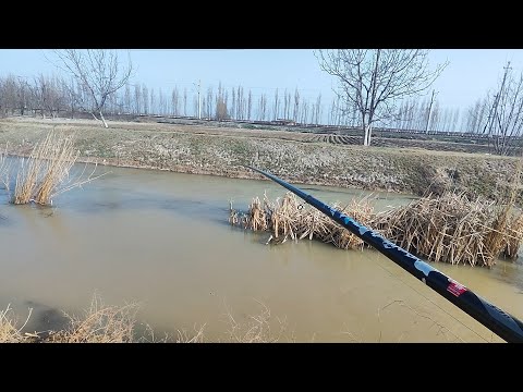 Видео: Бешеный поклёвки на мутном воде