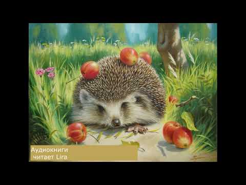 Видео: Аудиосказка "Казка пра смелага вожыка" .Алесь Якімовіч.🦔