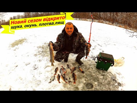 Видео: Рибалка 2024. Найкраща приманка на окуня, плотву і ляща взимку. Ловля щуки на жерлиці.
