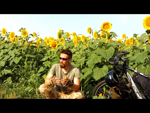 Видео: Воздержание изменило всю мою жизнь: о мотивации, девушке, и характере что раньше в штанах болтался.