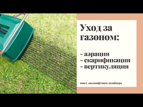 Видео: Уход за газоном: аэрация, пескование, скарификация, вертикуляция.