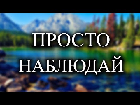 Видео: Все становится лучше без вашего участия