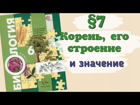 Видео: Краткий пересказ §7 Корень, его строение и значение. Биология 6 класс Пономарева