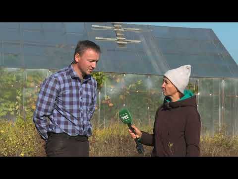 Видео: Родная земля от 20/10/23 - ТНВ