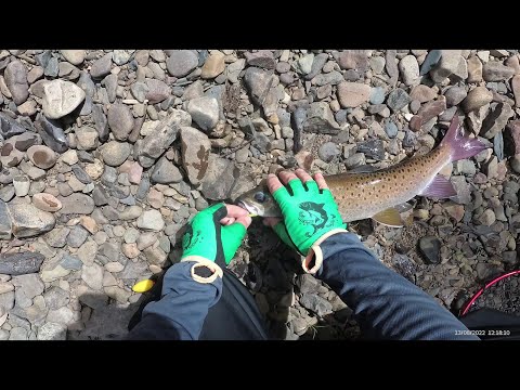 Видео: КОЛУМБЕ выходного дня
