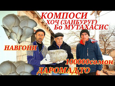 Видео: Таёр намудани ХОЧ(ЗАНБУРУҒ) 😲👍дар муҳити Хона даромад то 100000 сомон