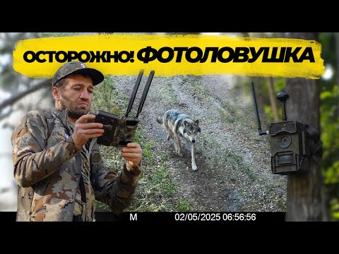 Видео: Как выбрать фотоловушку для охоты. Делюсь опытом.