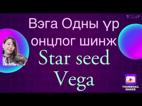 Видео: Оддын үрс цуврал5. Вега одны үрсийн онцлог шинж .Vega Star seed .