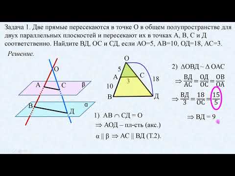 Видео: Стереометрия "с нуля" Проверяем "Домашку" урока 4