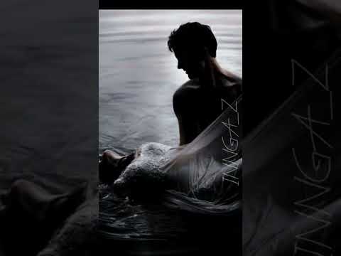 Видео: фф Найди 14